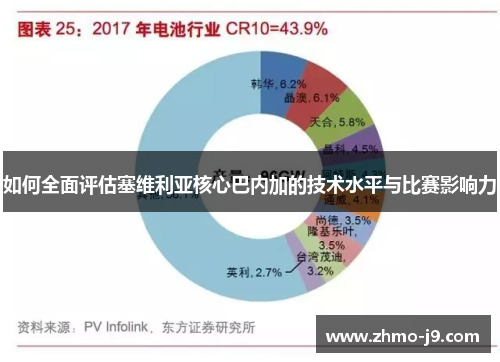如何全面评估塞维利亚核心巴内加的技术水平与比赛影响力 如何全面评估塞维利亚核心巴内加的技术水平与比赛影响力
