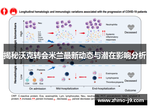 揭秘沃克转会米兰最新动态与潜在影响分析 揭秘沃克转会米兰最新动态与潜在影响分析