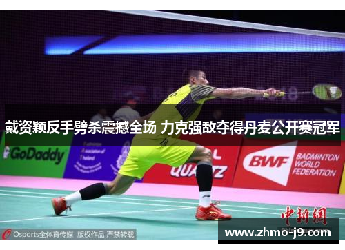 戴资颖反手劈杀震撼全场 力克强敌夺得丹麦公开赛冠军