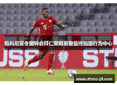 帕利尼亚冬窗转会拜仁受阻夏窗最终加盟行为中心