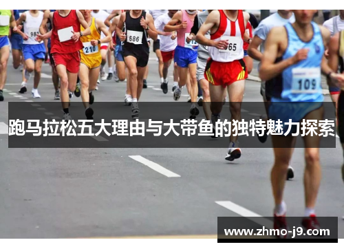 跑马拉松五大理由与大带鱼的独特魅力探索 跑马拉松五大理由与大带鱼的独特魅力探索