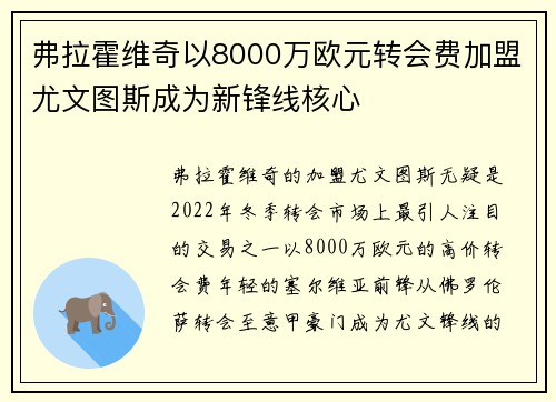 弗拉霍维奇以8000万欧元转会费加盟尤文图斯成为新锋线核心